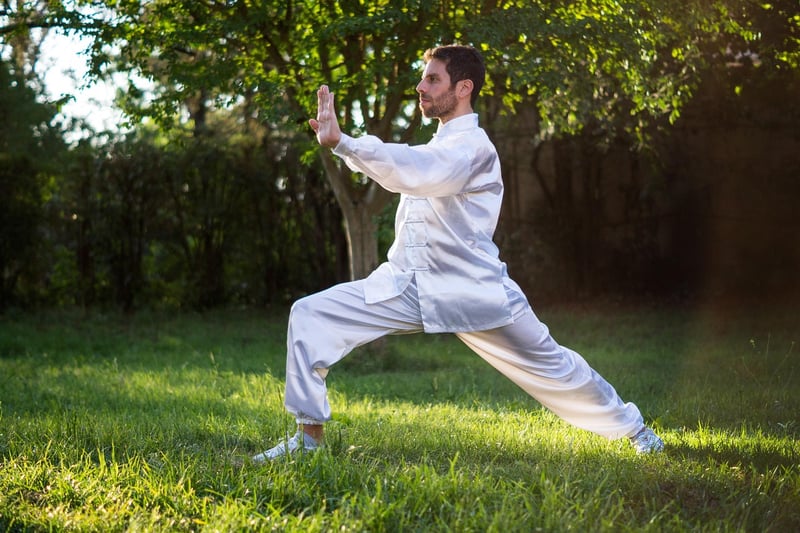 Tai Chi for Wellness